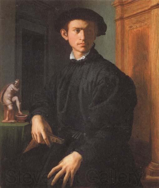 Agnolo Bronzino Portrait of a Young Man with a Lute